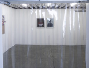 Tony Labatt, House Accessory (The Freezer), 2018, metal, plastic strip curtain