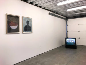 Not the Apple but the Fall, Installation View