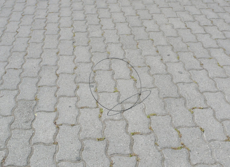 Returning Full Circle