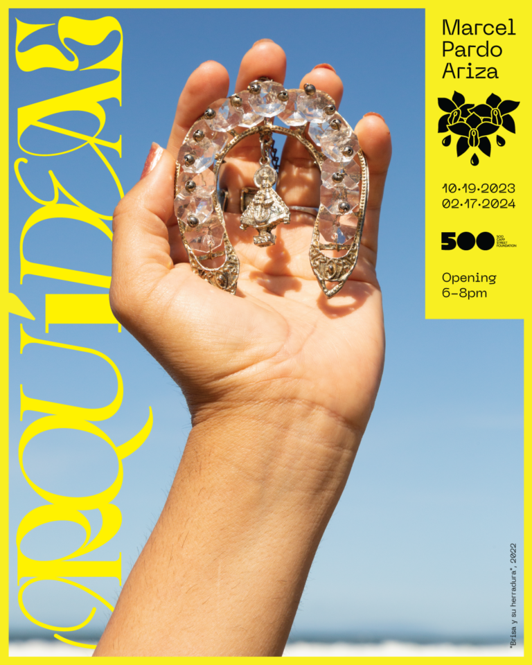 Marcel Pardo Ariza: Orquídeas