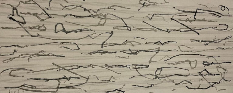 Five Scores by David Ireland realized by Chris Brown and Johanna Poethig