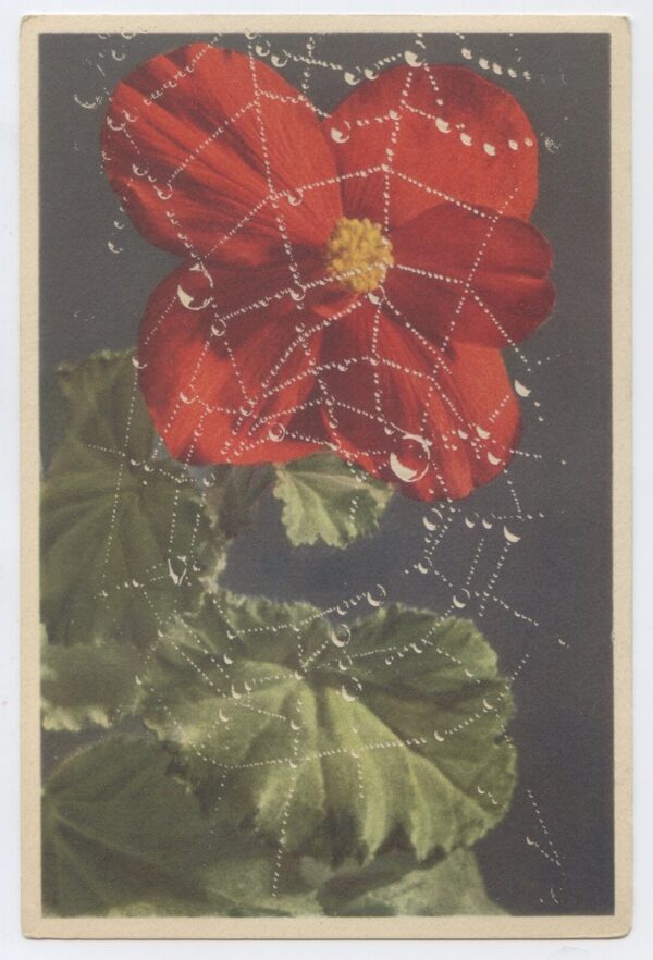 Residue